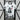 2024 Japan Special Edition S-XXL(A262)
