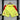 Shorts Espanha ll 2024/25